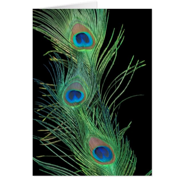 Grönt Feathers with Black Hälsningskort (Framsidan)