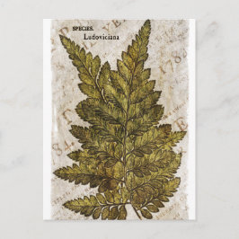 Grönt Fern Botanical Ferns Tropical Template Vykort