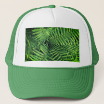 Grönt fern