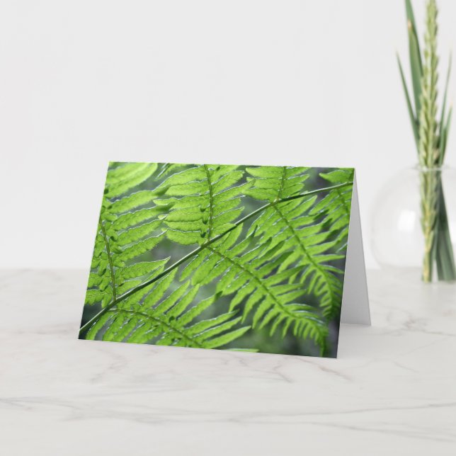 Grönt Fern Kort (Framsida)