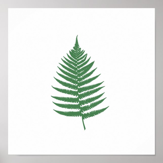 Grönt Fern Löv minimalism Square Wall Poster (Framsidan)