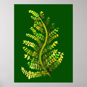 Grönt fern löv växtart poster