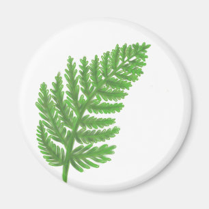 Grönt Fern Magnet