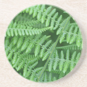 Grönt Fern Mönster Natur Underlägg Drick