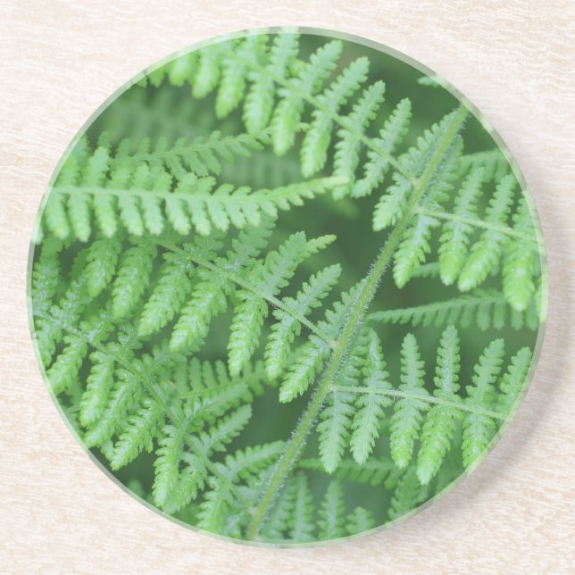 Grönt Fern Mönster Natur Underlägg Drick (Framsidan)