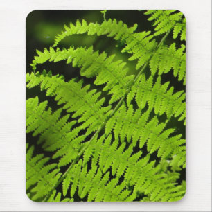 Grönt fern musmatta