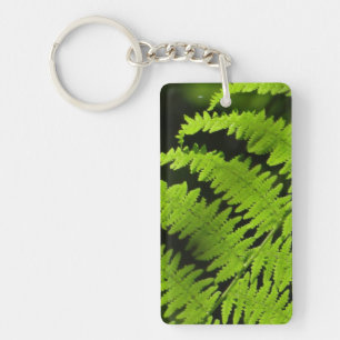 Grönt fern nyckelring