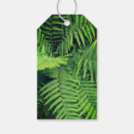 Grönt fern presentetikett