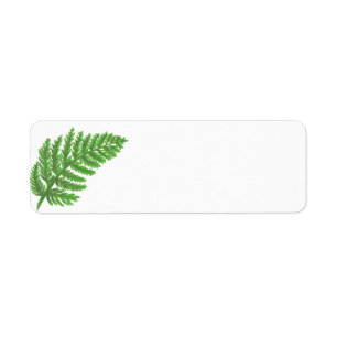 Grönt Fern Returadress Etikett