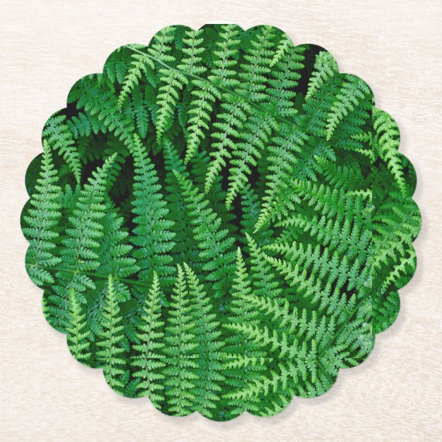 Grönt Fern Underlägg Papper (Framsida)