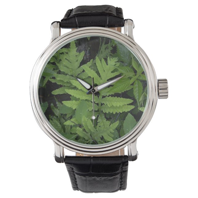 Grönt Fern Watch Armbandsur (Framsida)