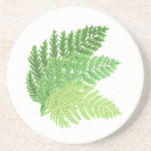 Grönt Ferns Underlägg Sandsten