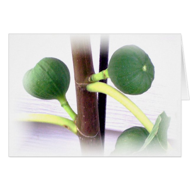 grönt fig hälsningskort (Framsidan Horizontal)