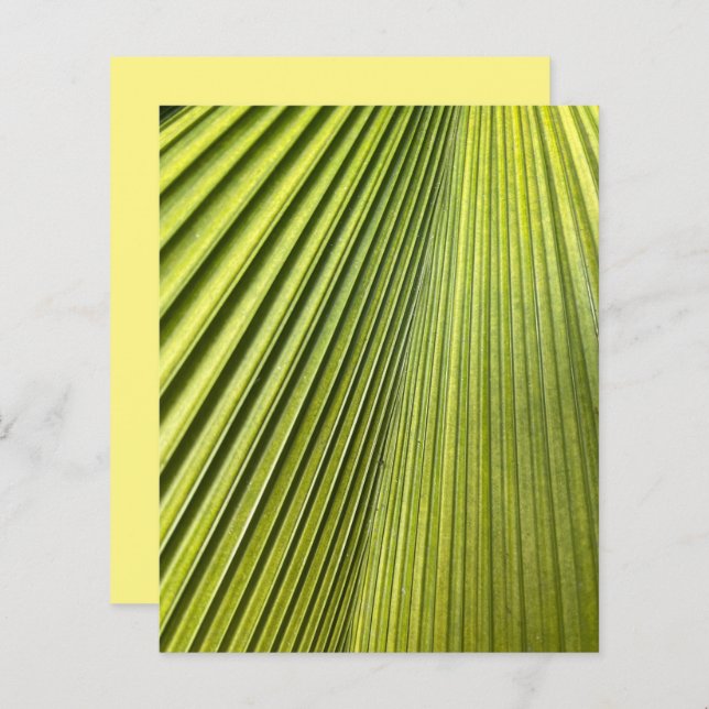 Grönt Fläkt Handflatan Frond Scrapbook Papper (Fram/baksida)