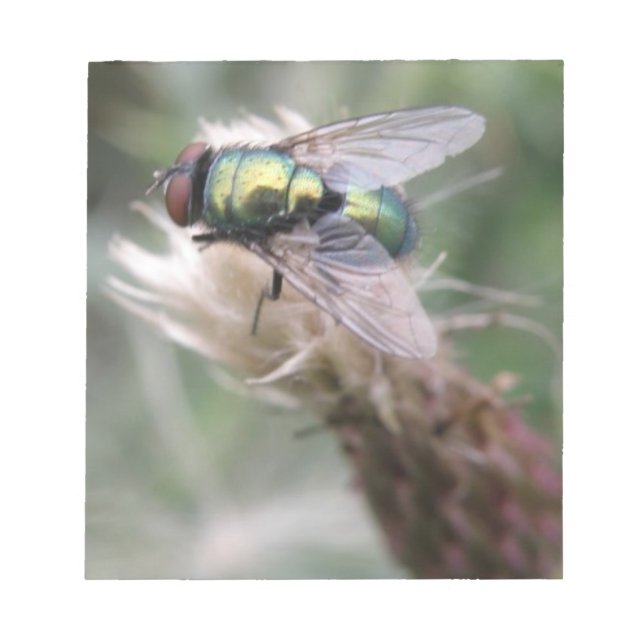 Grönt Flaska Fly Macro-Anteckningsblock Anteckningsblock (Framsida)