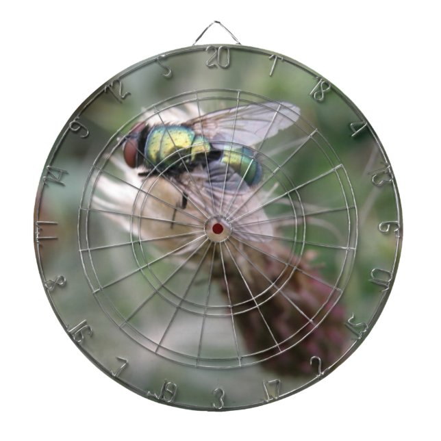 Grönt Flaska Fly Macro Dart Board Darttavla (Framsidan)