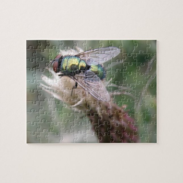Grönt Flaska Fly Macro Puzzle Pussel (Horisontell)