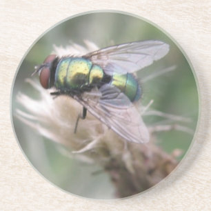 Grönt Flaska Fly Macro Underlägg Sandsten