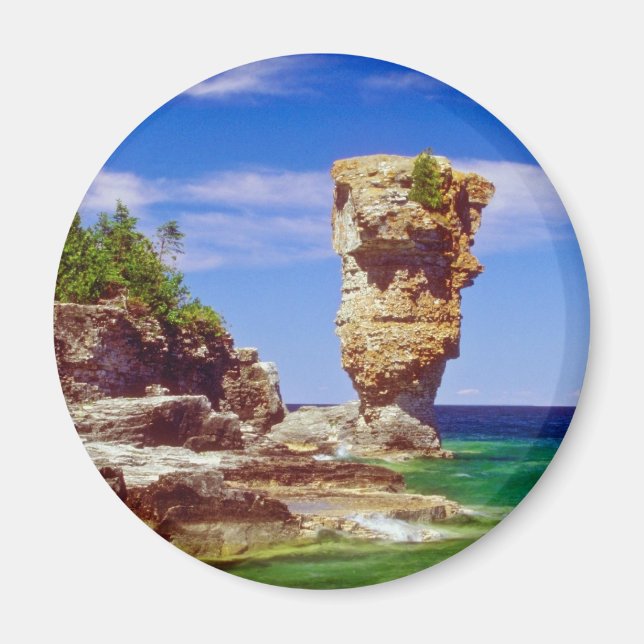 Grönt Flowerpot Island, Tobermory, Ontario-blommor Magnet (Framsidan)