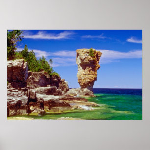 Grönt Flowerpot Island, Tobermory, Ontario-blommor Poster