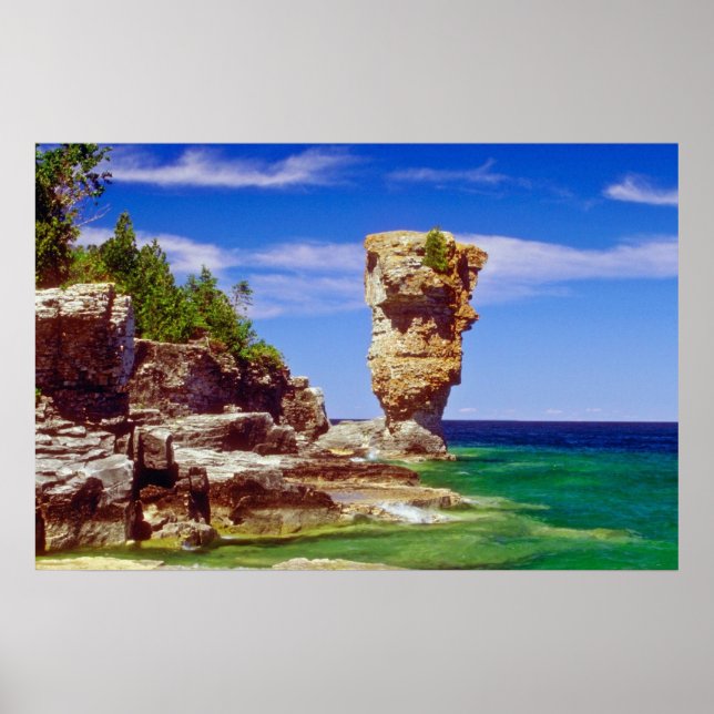Grönt Flowerpot Island, Tobermory, Ontario-blommor Poster (Framsidan)