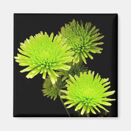 Grönt Flowers Magnet