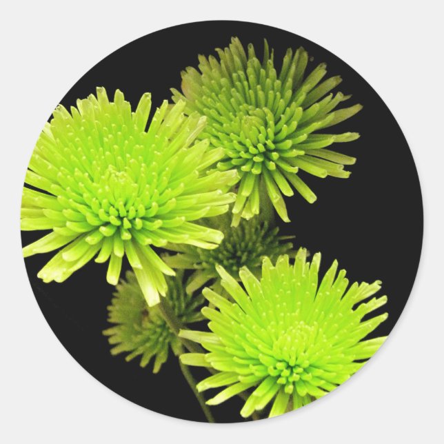 Grönt Flowers Runt Klistermärke (Framsida)