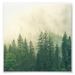 Grönt Foggy Rocky mountains Colorado USA Äventyr Fototryck