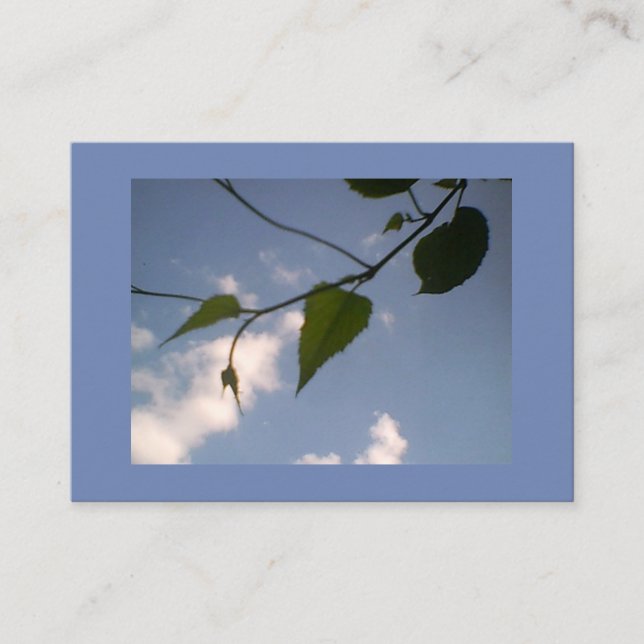 Grönt Foliage i Blå himmel Visitkort (Framsida)