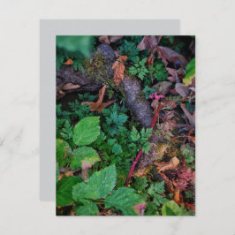 Grönt Foliage Inbjudningar