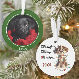 Grönt för checklista för Naughty Puppy Santa