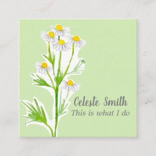 Grönt för kamomile Flower Herb Plant Illustration Fyrkantigt Visitkort
