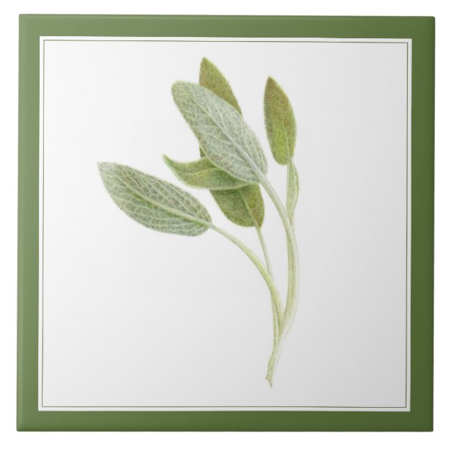 GRÖNT för keramiska plattor (-text), 6" x 6" Kakelplatta (Framsidan)