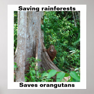 Grönt för regnskogar och orangutaner poster
