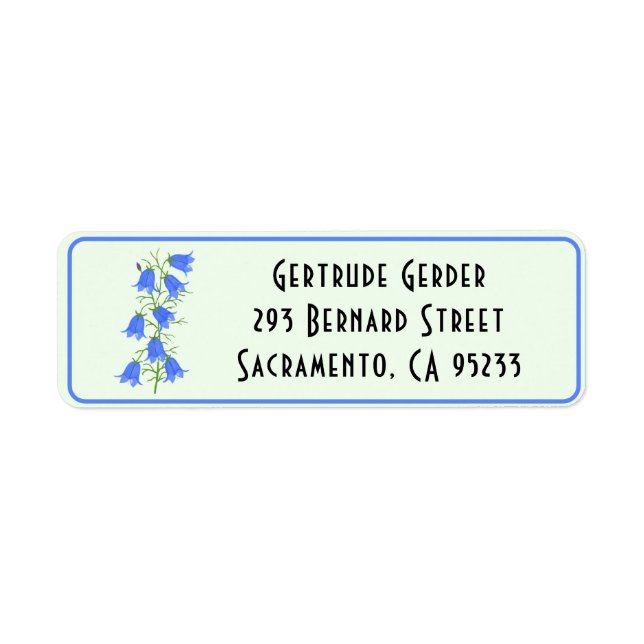 Grönt för returadressetikett för Blek med vackert  Returadress Etikett (Framsidan)