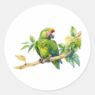 Grönt för vattenfärg Parrot på Träd Gren Runt Klistermärke