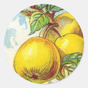 grönt för vintage av päronfrukt, illustration av g runt klistermärke