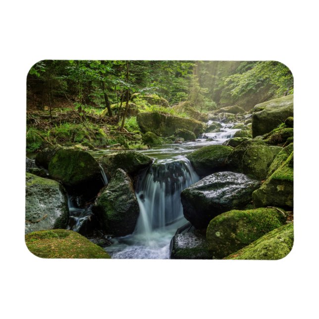 Grönt Forest and River Magnet (Horisontell)