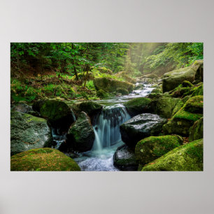 Grönt Forest and River Poster