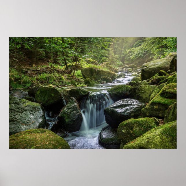 Grönt Forest and River Poster (Framsidan)