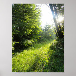 Grönt Forest Meadow Poster