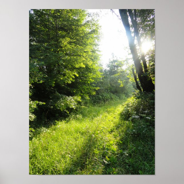 Grönt Forest Meadow Poster (Framsidan)