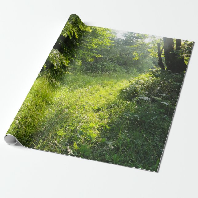 Grönt Forest Meadow Presentpapper (Utrullad)
