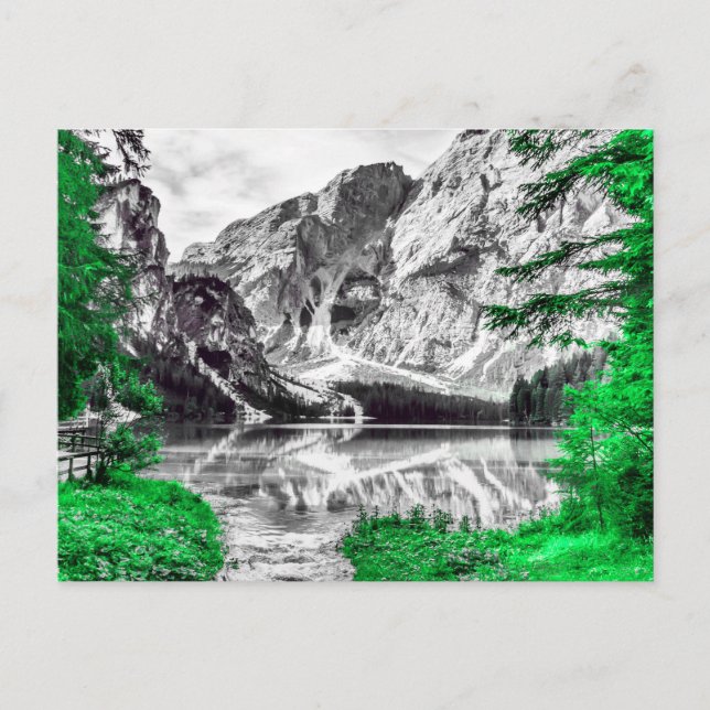 Grönt Forest with Black White Mouncape Vykort (Framsida)