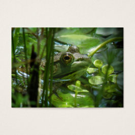 Grönt Frog ATC-fotokort Visitkort