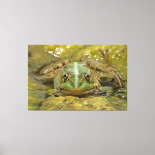 Grönt Frog Camoufled against Weasted River Bed Canvastryck