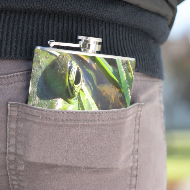 Grönt Frog Fickplunta (In Situ)