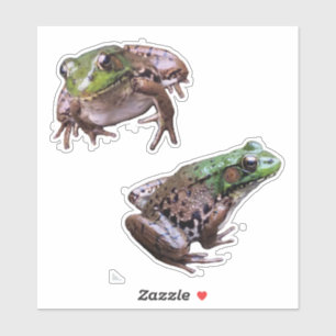Grönt Frog Foton Klistermärken