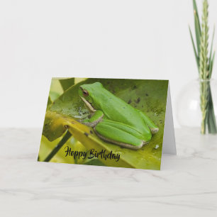 Grönt Frog Hoppy Birthday Kort