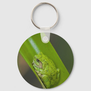 Grönt Frog Makro Nyckelring